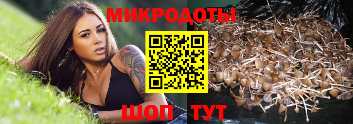 Галлюциногенные грибы Magic Shrooms Баксан